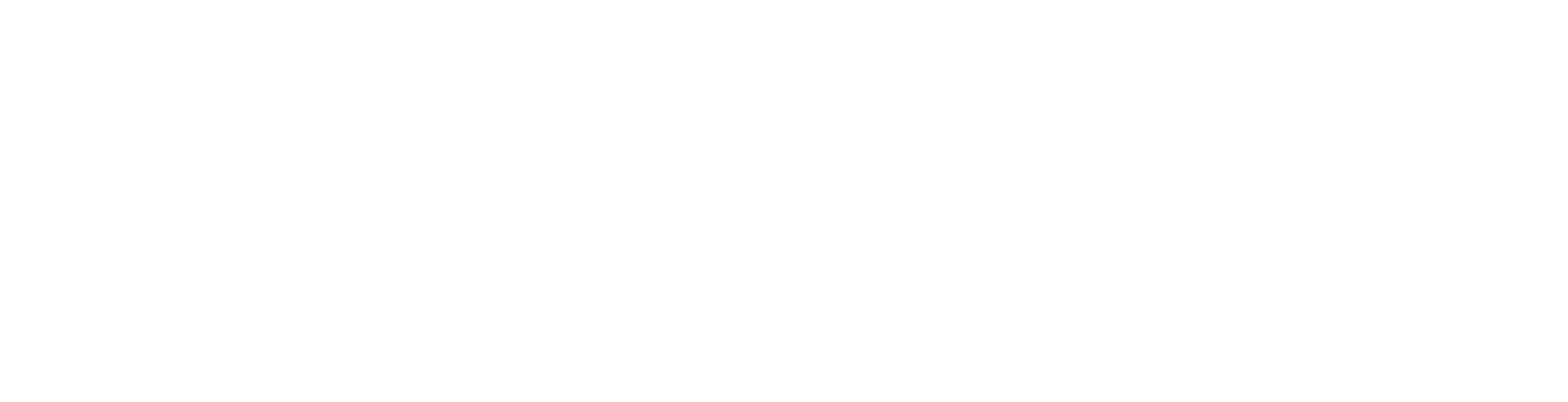 Logo Narvaez